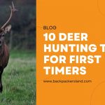 Deer Hunting Tips For First Timers