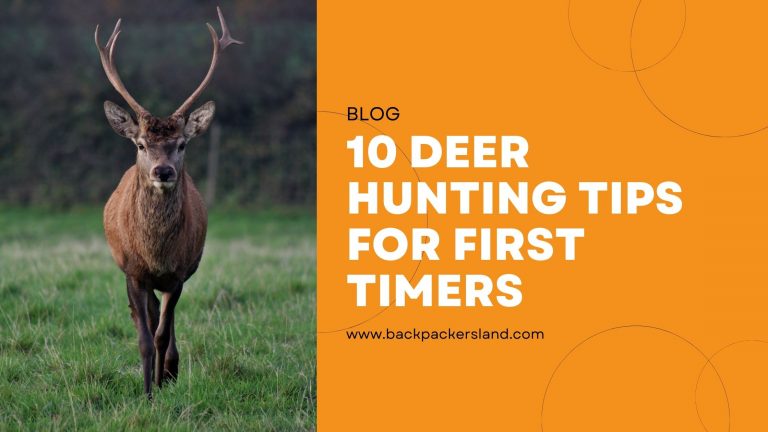 Deer Hunting Tips For First Timers