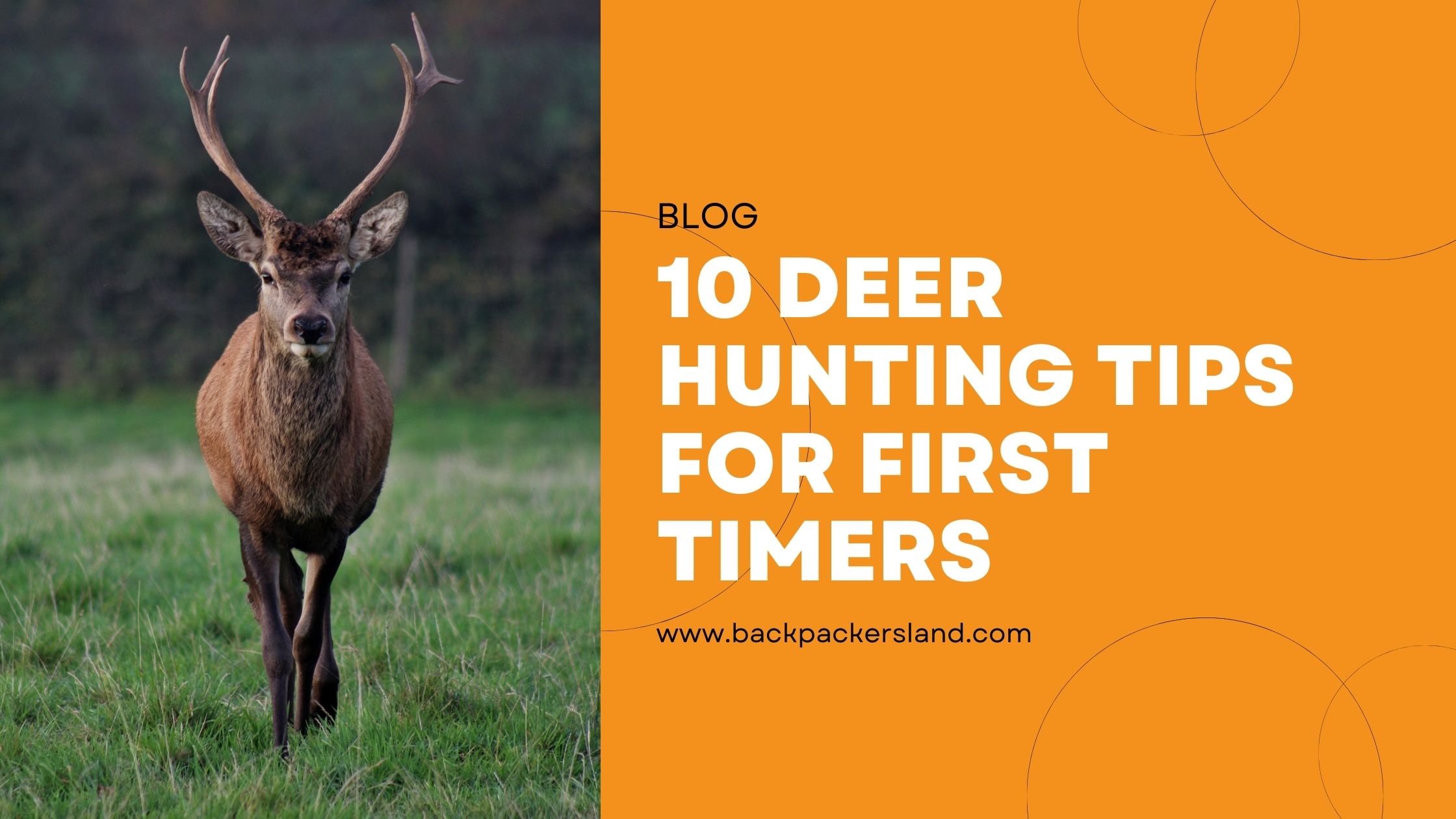 Deer Hunting Tips For First Timers