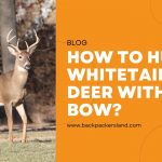 How To Hunt Whitetail Deer With A Bow