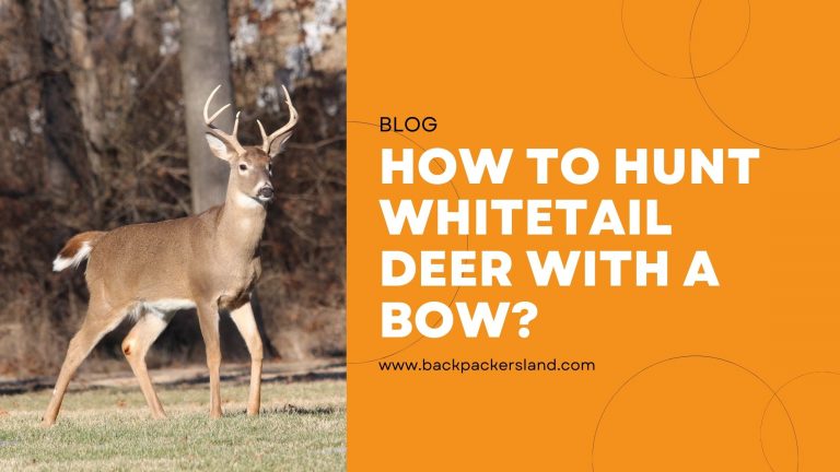 How To Hunt Whitetail Deer With A Bow?