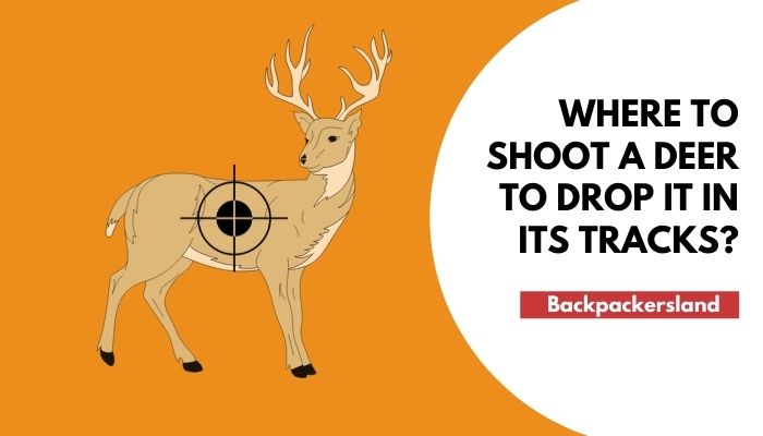 Where To Shoot A Deer To Drop It In Its Tracks?