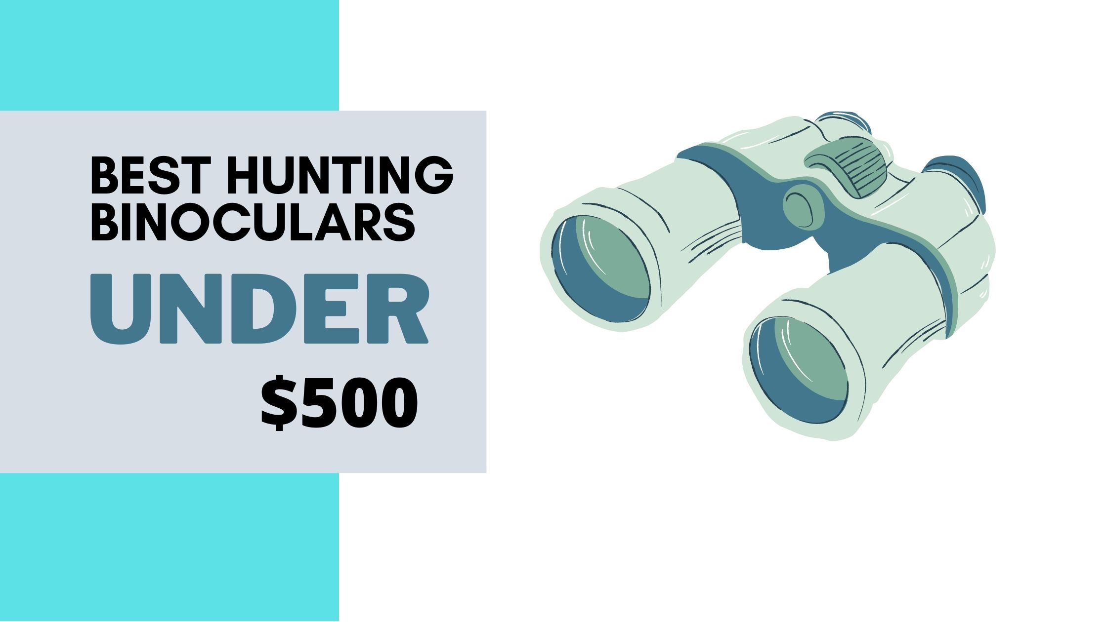 Best Hunting Binoculars under 500