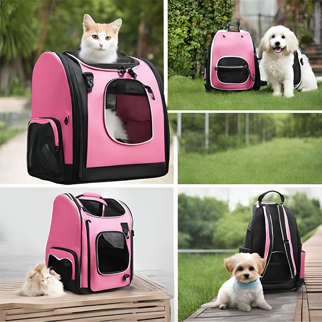 A pet carrier backpack to bring your furry friend along comfortably